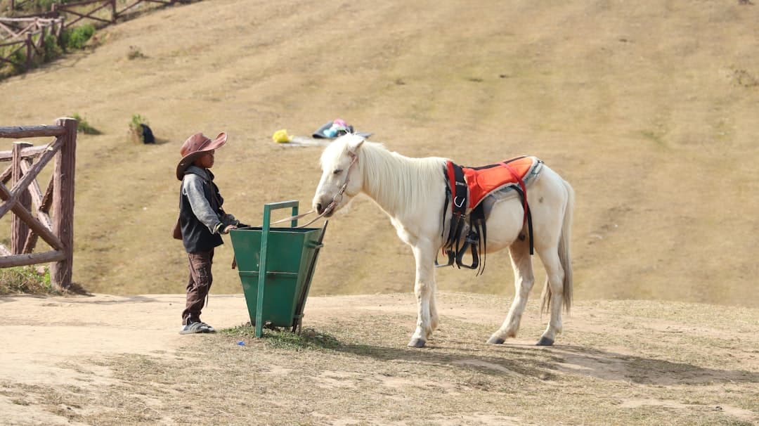 Veterans with horses