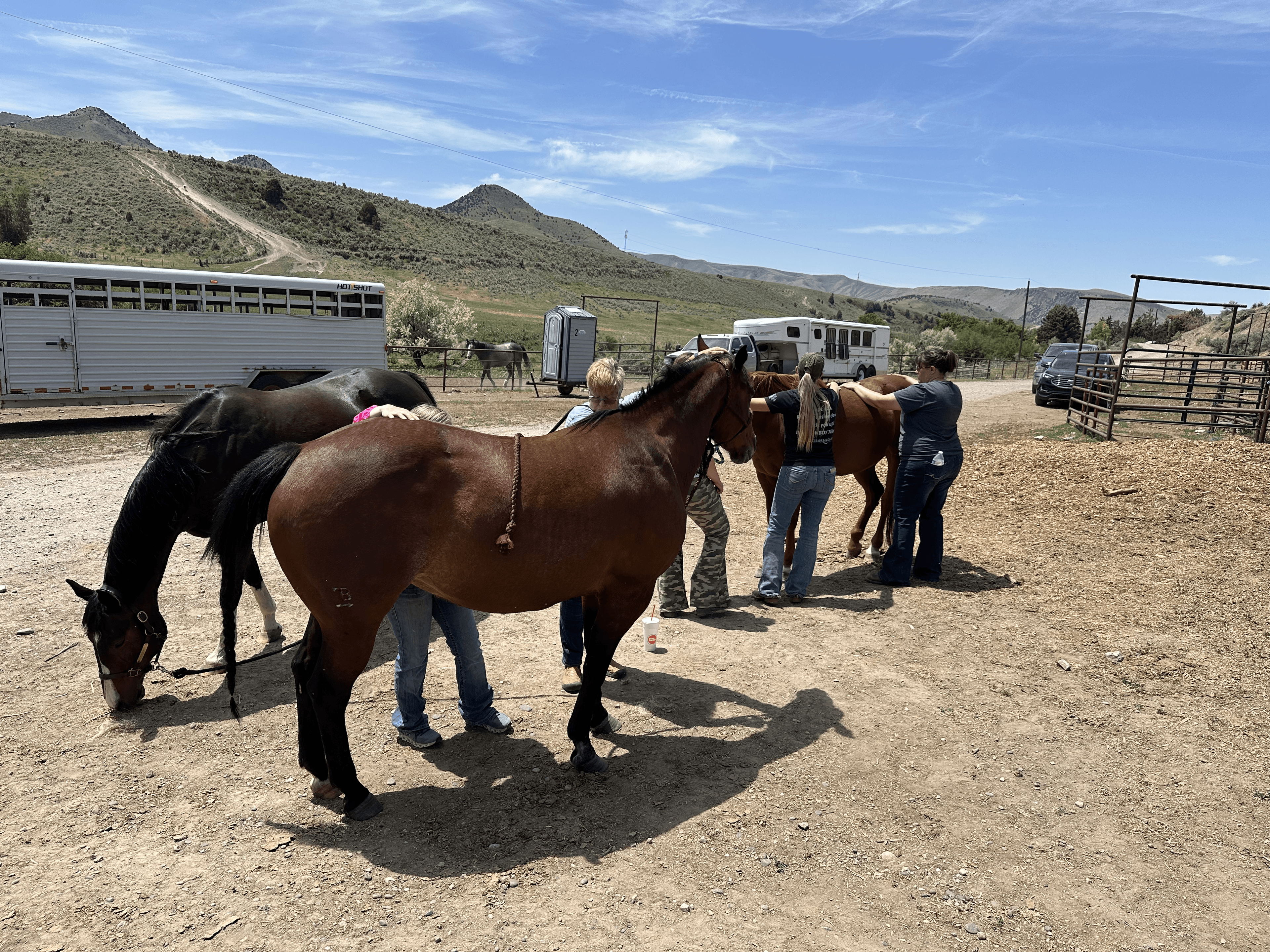 man in a white tshirt hugging a horse