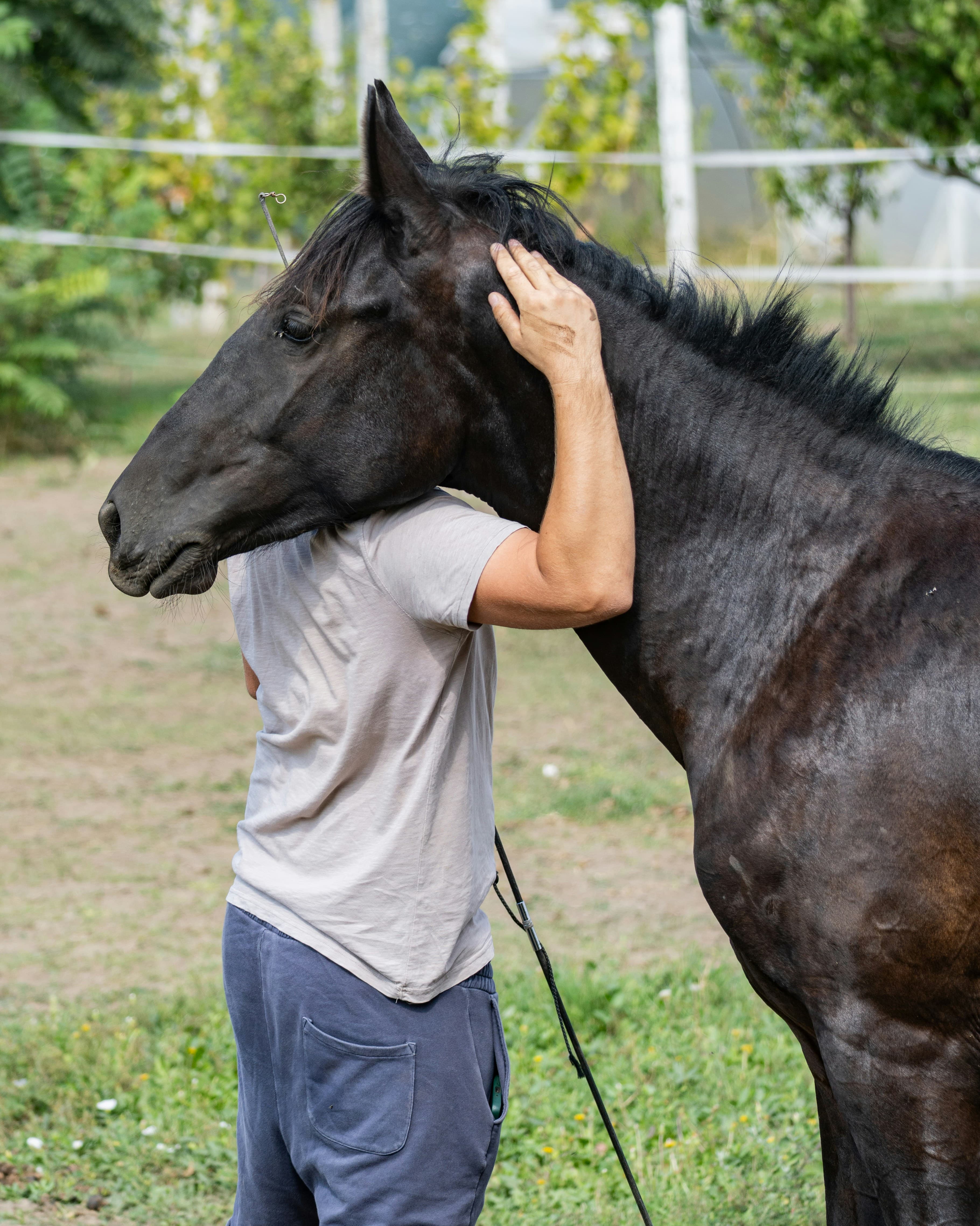 6-Week Horsemanship Academy
