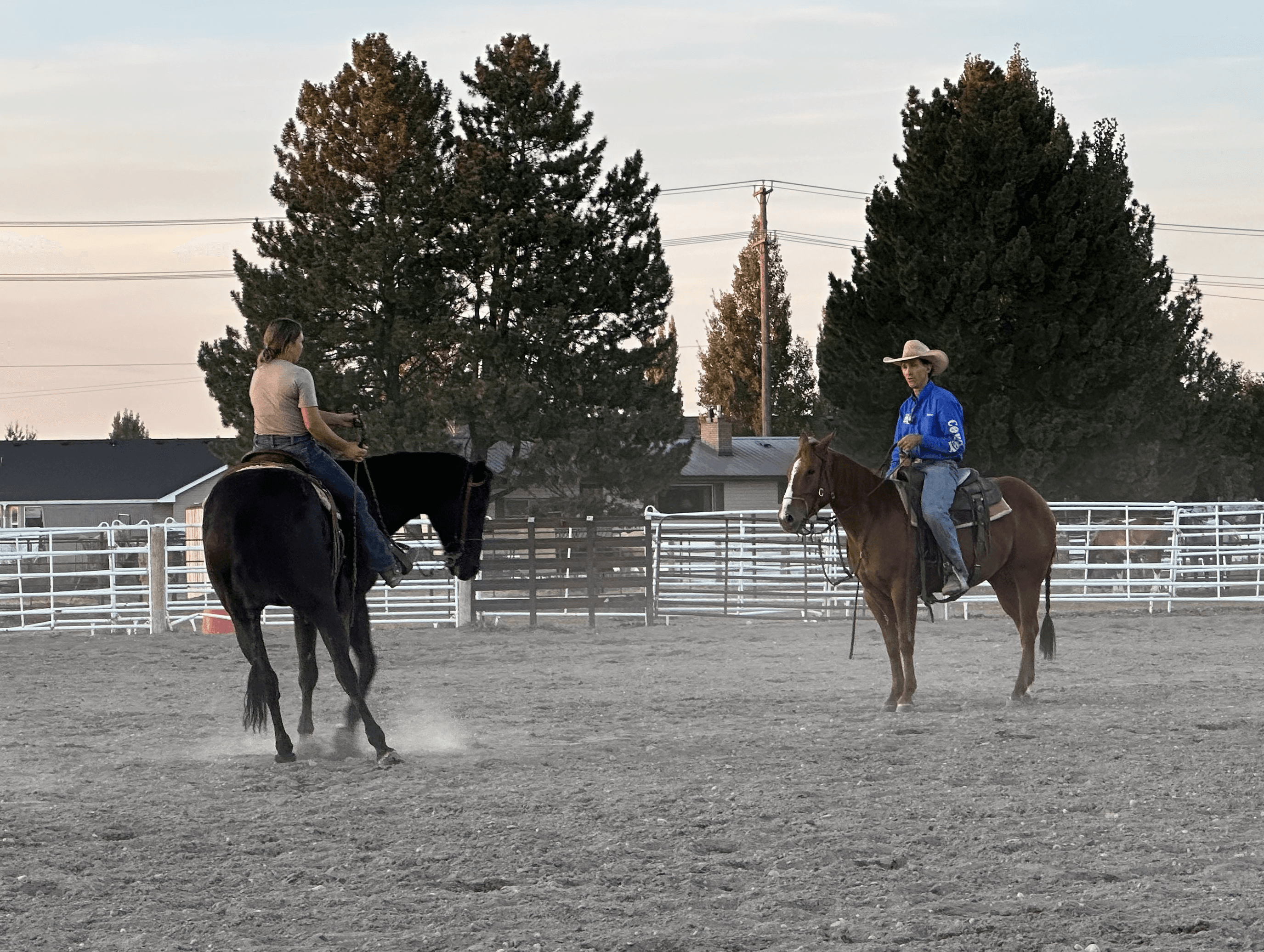 Horsemanship clinic session