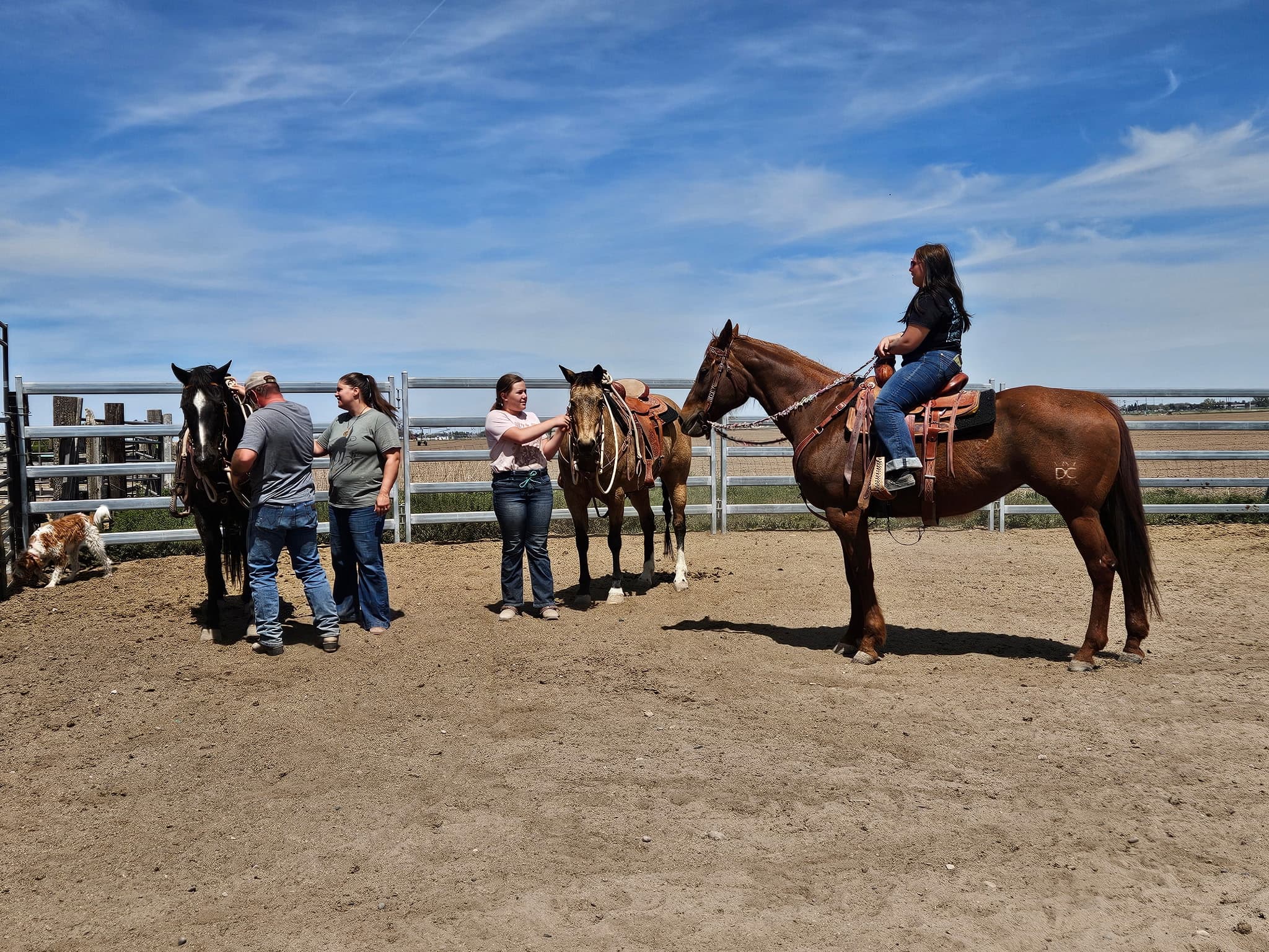Veterans working with horses at a Branded Brothers clinic