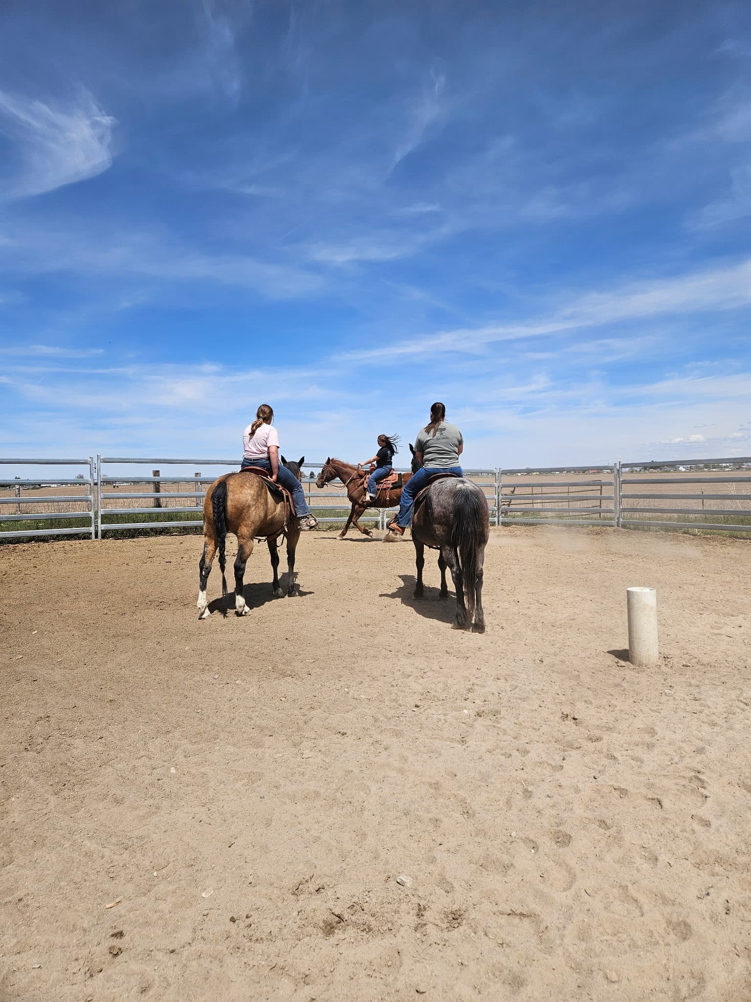 Hands-on horsemanship instruction during a clinic