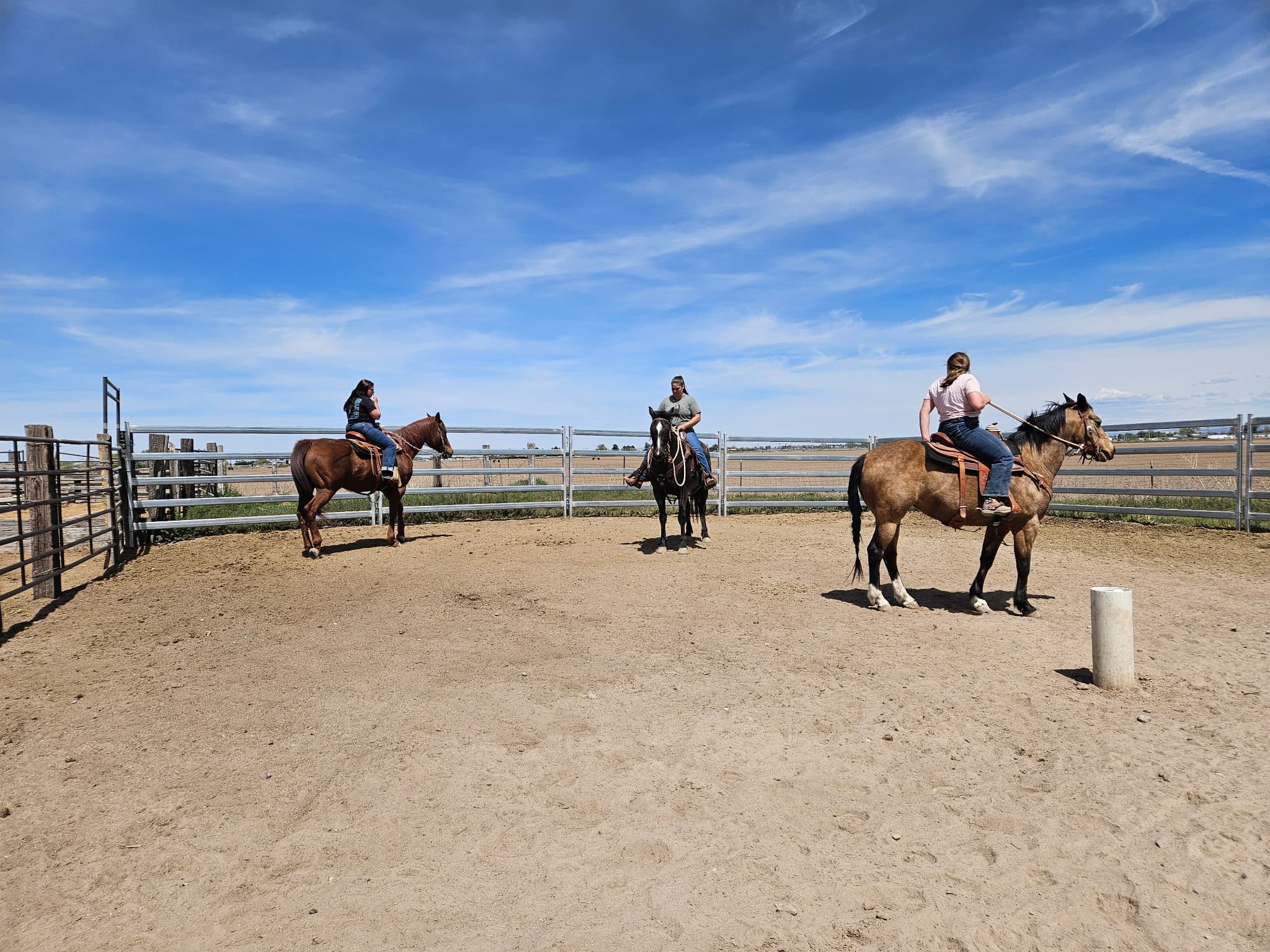 2-Day Horsemanship Clinic