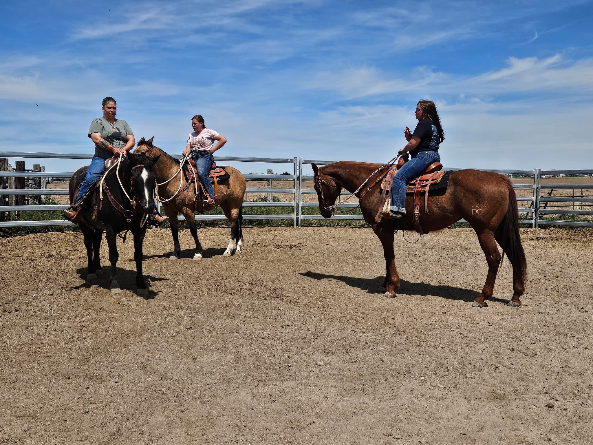 Connection and trust building between veteran and horse